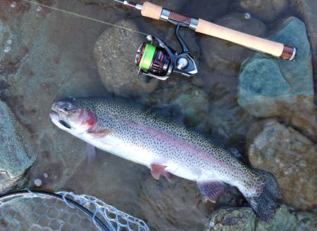 ニューロッド入魂！ ～天竜川ルアーフライ専…